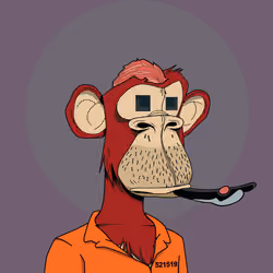 Renga Apes Club #5350