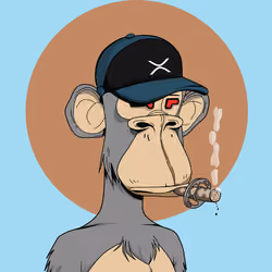 Renga Apes Club #1138