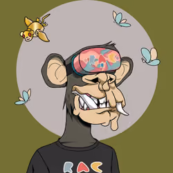 Renga Apes Club #1379