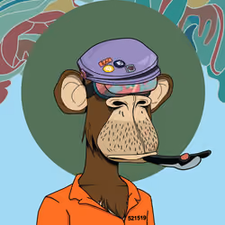 Renga Apes Club #8679