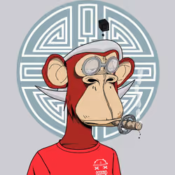 Renga Apes Club #8584