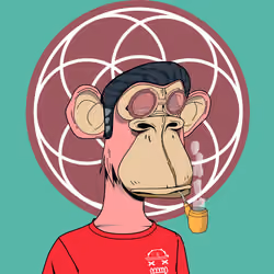 Renga Apes Club #1303
