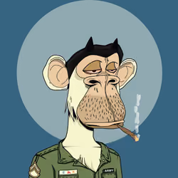 Renga Apes Club #6641