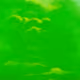 1004