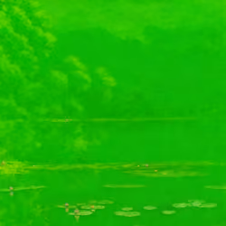 00FF00 #1316