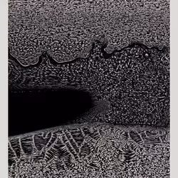 74998881