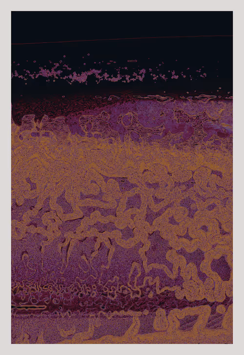 Item #456397890 Media