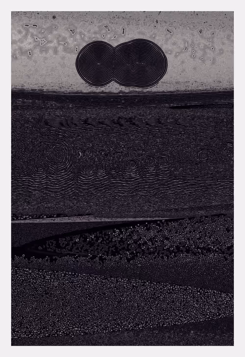 Item #816620542 Media