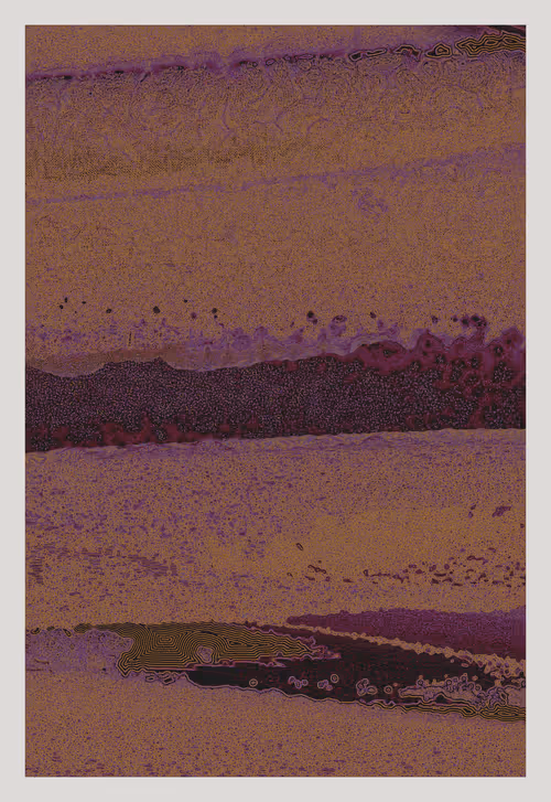 Item #1480587540 Media