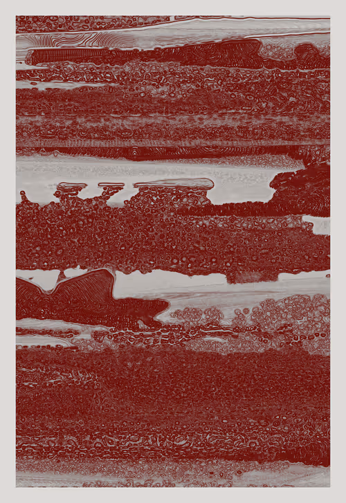 Item #3127722006 Media