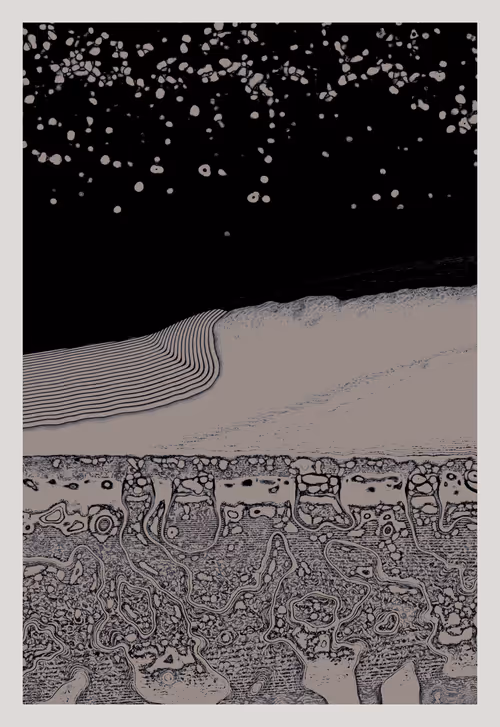 Item #3666492619 Media