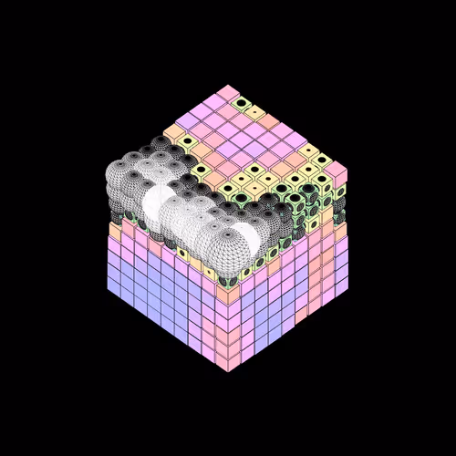 Item #4 Media