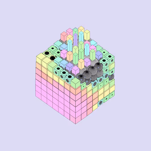 25