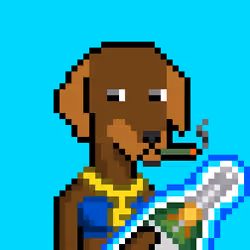 ViralataFunk #3570
