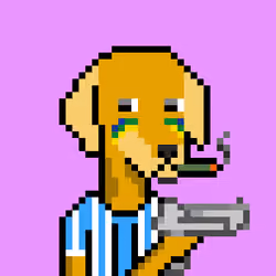 ViralataFunk #9573