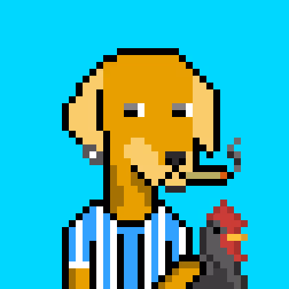 Viralatafunkcamarotebonde