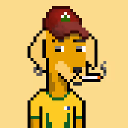 ViralataFunk #4017