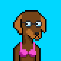 ViralataFunk #4496