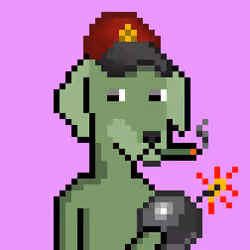ViralataFunk #2833