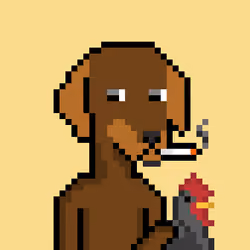 ViralataFunk #5144