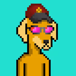ViralataFunk #6320