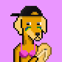 ViralataFunk #2555