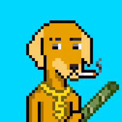 ViralataFunk #7763