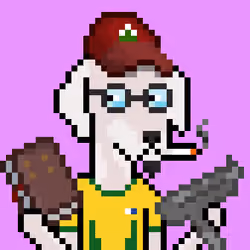 ViralataFunk #3085