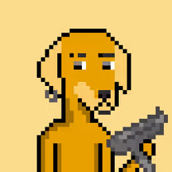 ViralataFunk #1148