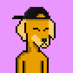 ViralataFunk #5146