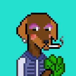 ViralataFunk #3380