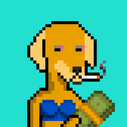 ViralataFunk #6985