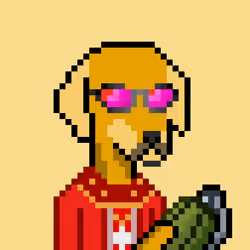 ViralataFunk #2364