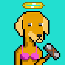 ViralataFunk #6982
