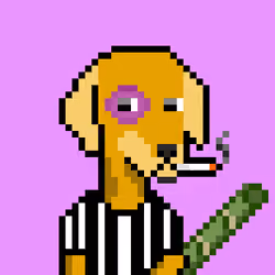 ViralataFunk #1764