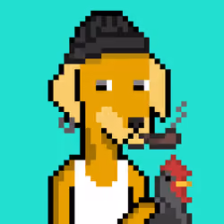 ViralataFunk #3616