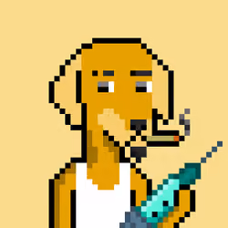 ViralataFunk #5829