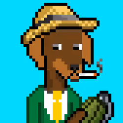 ViralataFunk #2563