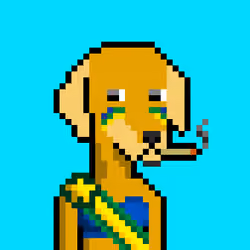 ViralataFunk #1215