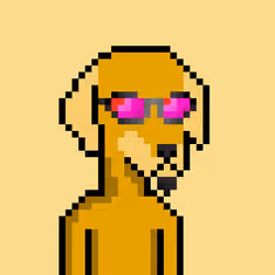 ViralataFunk #3579