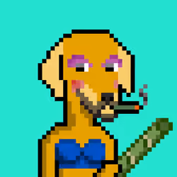 ViralataFunk #8883