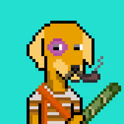 ViralataFunk #3208