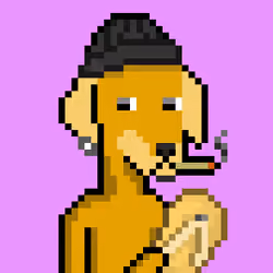 ViralataFunk #2562