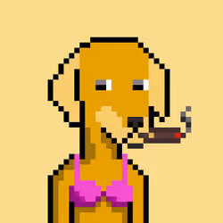 ViralataFunk #3210