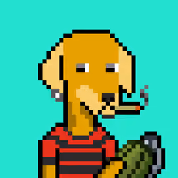 ViralataFunk #463