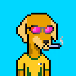 ViralataFunk #5140