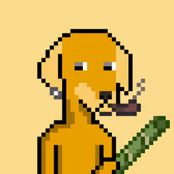 ViralataFunk #9574