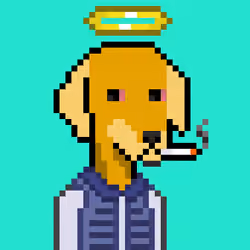 ViralataFunk #8725