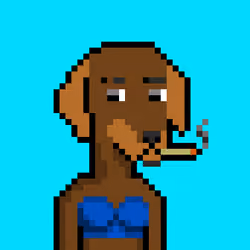 ViralataFunk #7761
