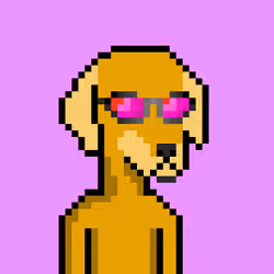 ViralataFunk #3383